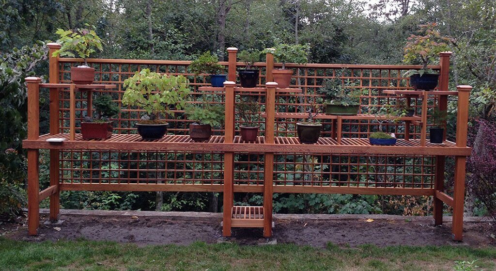 Beautiful Cedar Bonsai Bench
