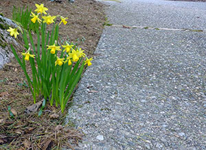 Time to Evaluate the Condition of Your Outdoor Living Space